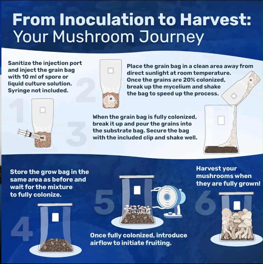 Mushroom Grow Kit / Refill Bundle